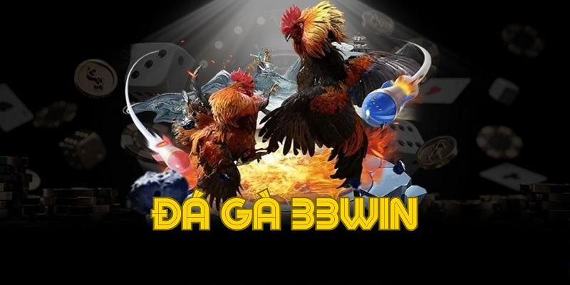 Sảnh Đá Gà 33WIN